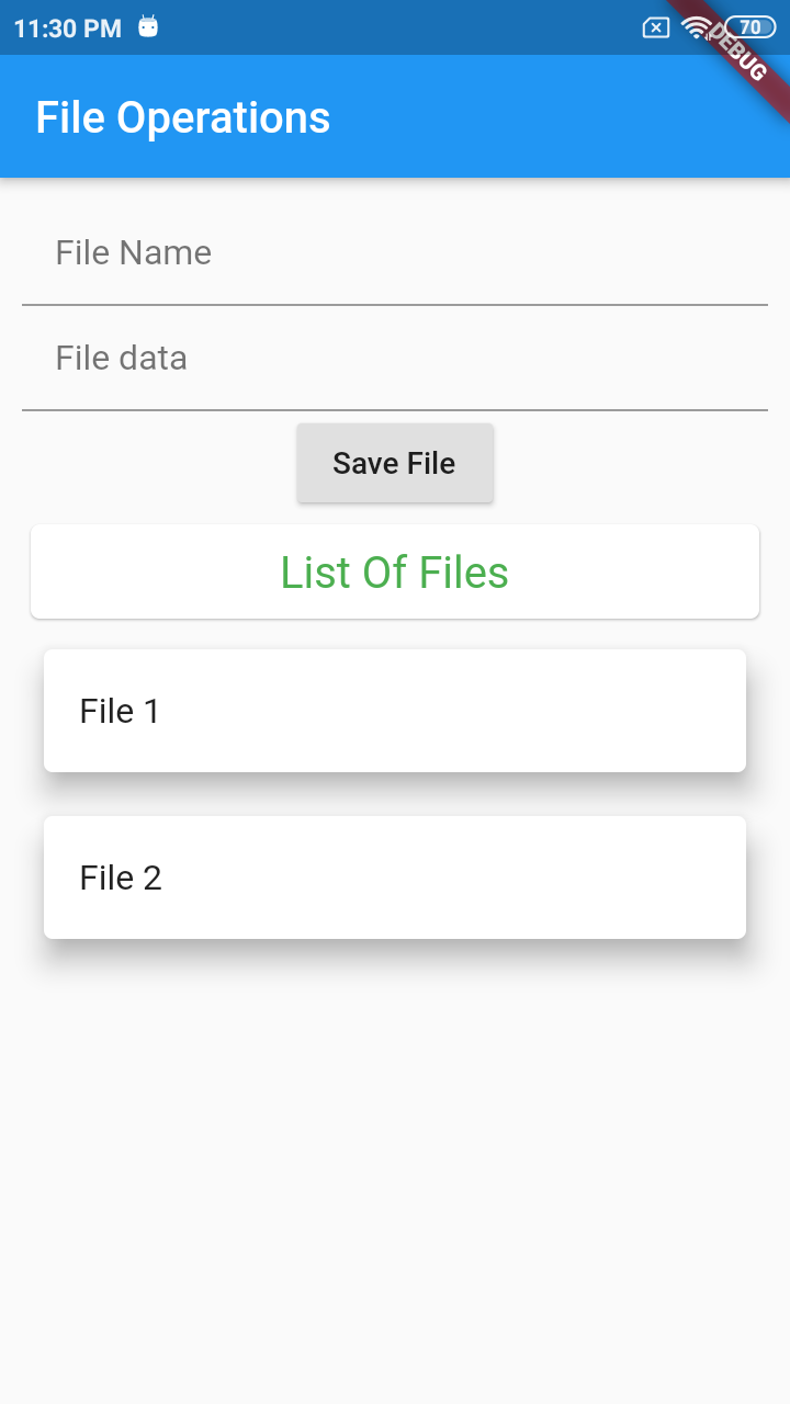 File Read and Write Operations in Flutter