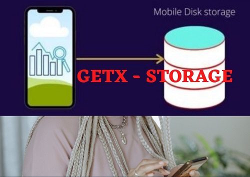 Flutter Sahrepreference with Getx Storage