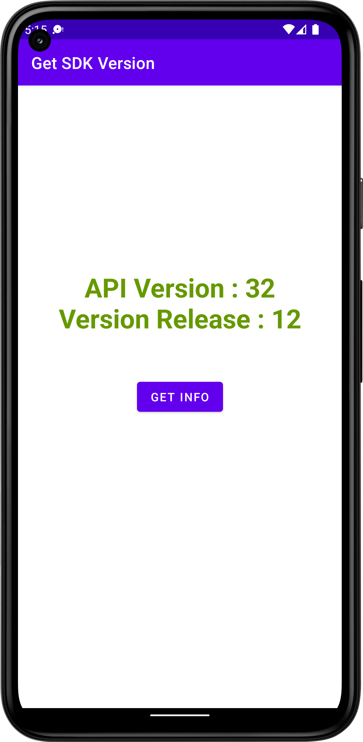 Get Android SDK version name and API details programatically