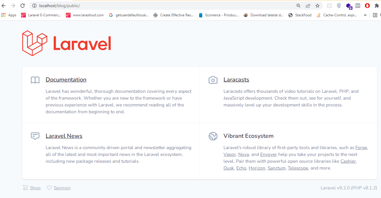 Laravel 9 project on local server xampp