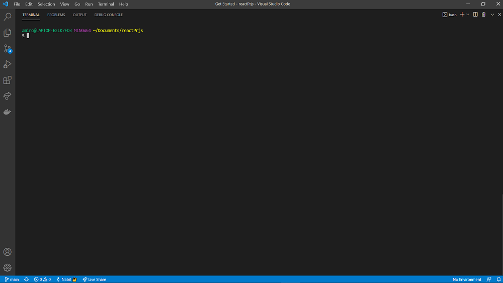 ReactJS Installation