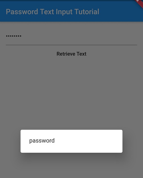 How to create textinput for password field in flutter